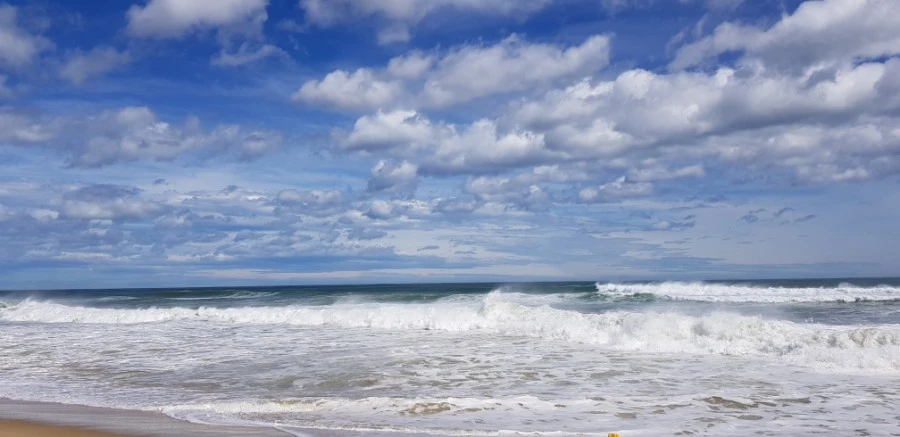 1599230406046.jpg?type=w1