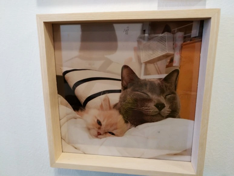 IMG_20170902_123218.jpg?type=w773