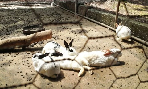 20160414_1347592.jpg?type=w773