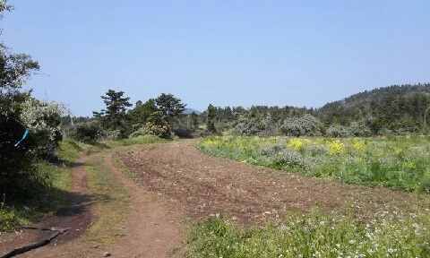 20160419_0941132.jpg?type=w773