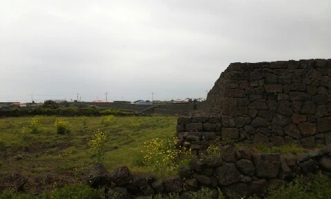 20160412_1603191.jpg?type=w773