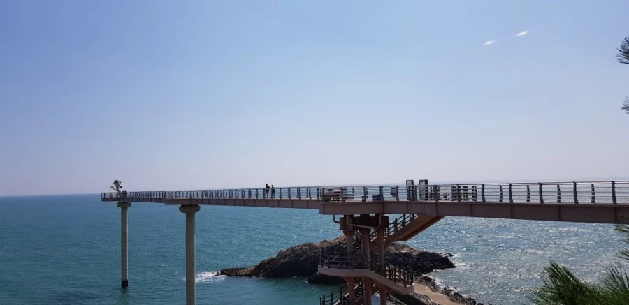 1599230606751.jpg?type=w1