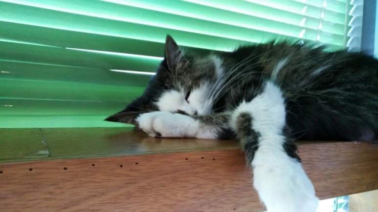 IMG_20170603_183850.jpg?type=w773