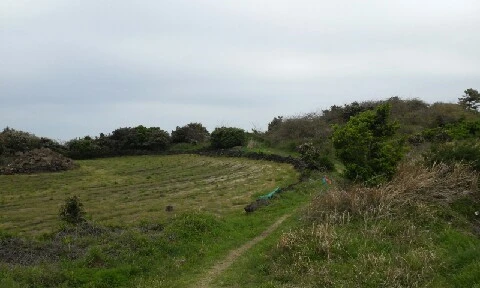 20160412_1302112.jpg?type=w773