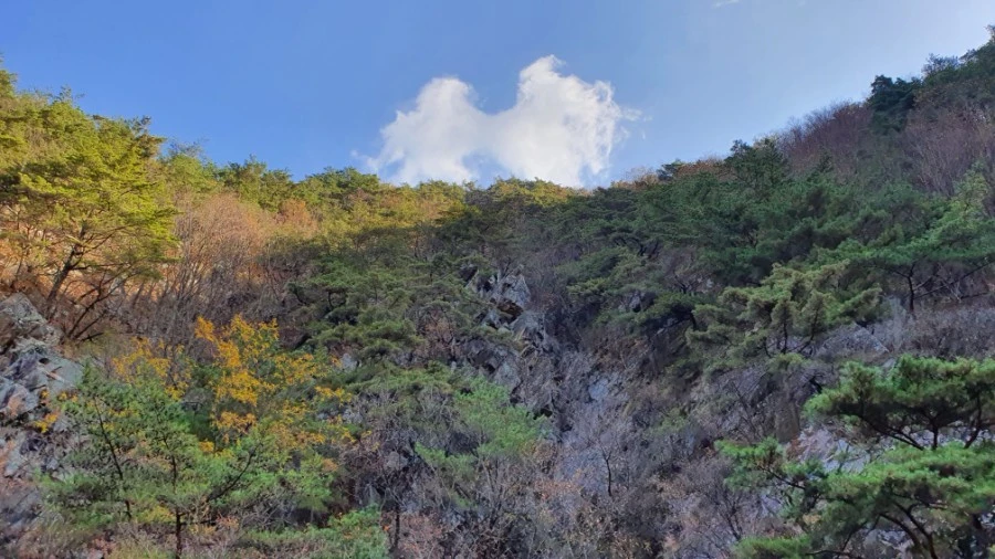 1604840420468%25EF%25BC%258D8.jpg?type=w1