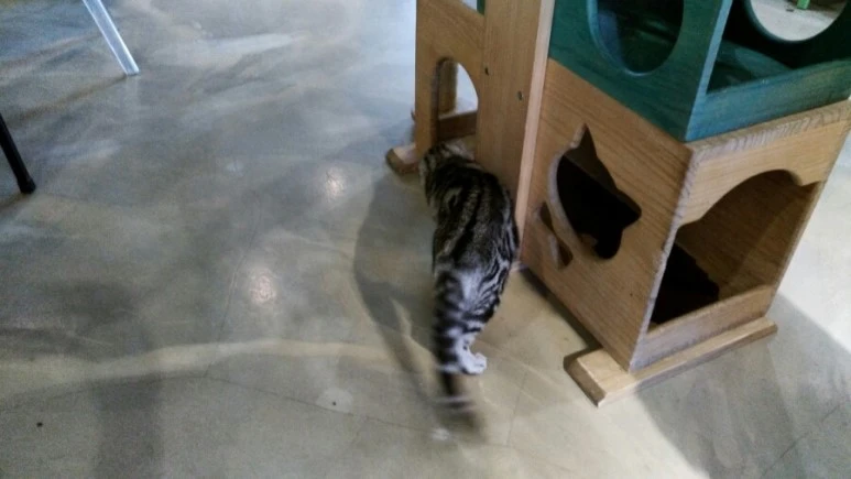 IMG_20170603_181049.jpg?type=w773