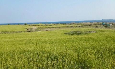 20160419_1653002.jpg?type=w773