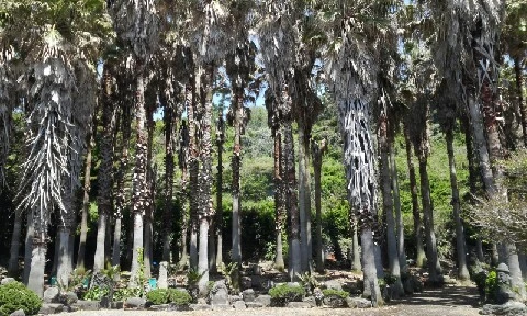 20160417_1137169.jpg?type=w773