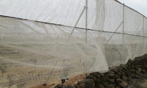 20160420_1312511.jpg?type=w773