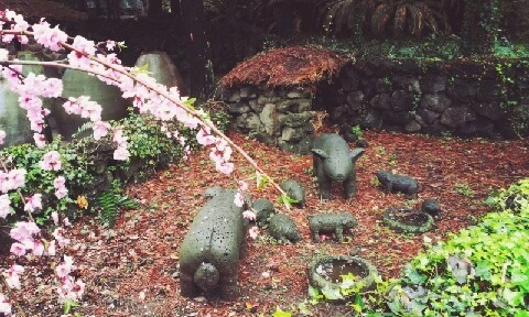 C360_2016-04-07-11-45-51-421.jpg?type=w773