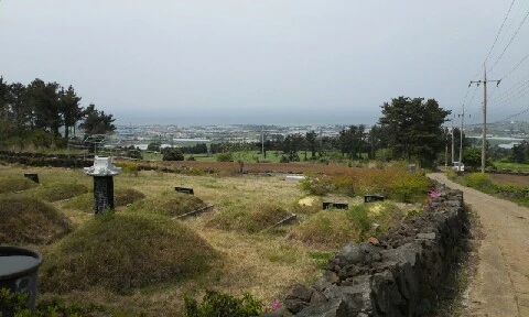 20160420_1113203.jpg?type=w773