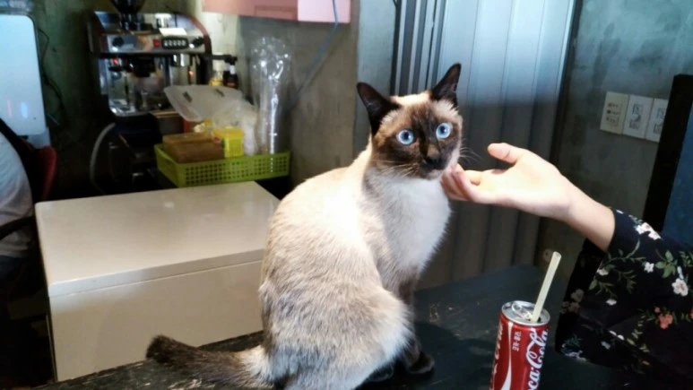 IMG_20170603_181757.jpg?type=w773