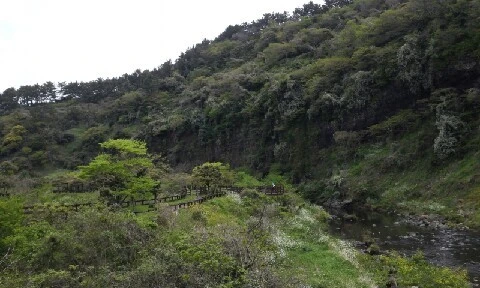 20160418_1100131.jpg?type=w773