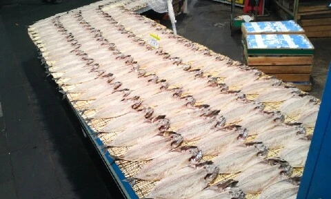 20160416_1320145.jpg?type=w773