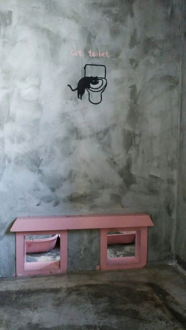 IMG_20170603_181130.jpg?type=w773