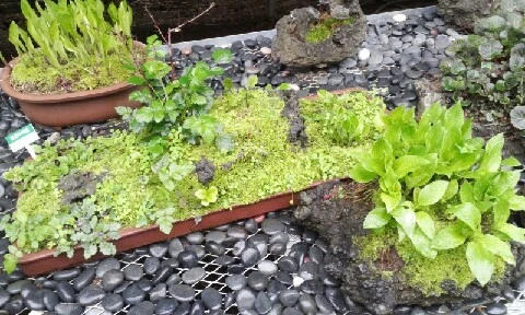 20160407_1045216.jpg?type=w773