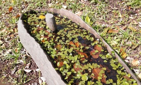 20160414_0950345.jpg?type=w773