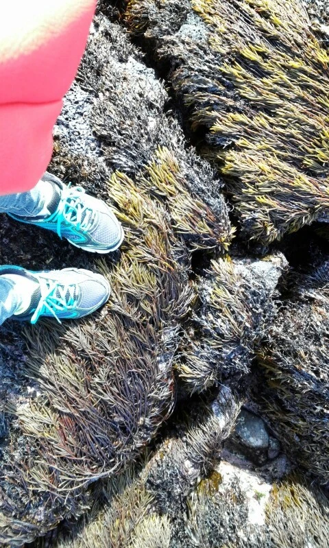 C360_2016-04-08-16-22-10-613.jpg?type=w773