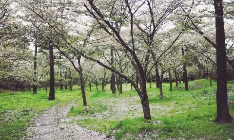 C360_2016-04-07-11-58-40-720.jpg?type=w773