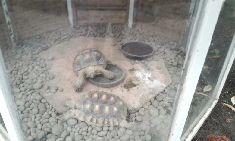 20160407_1000276.jpg?type=w773