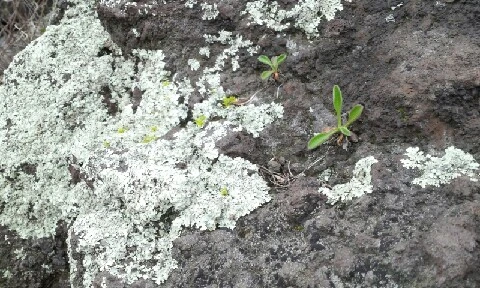 20160405_1648577.jpg?type=w773