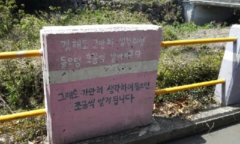 20160415_1342224.jpg?type=w773