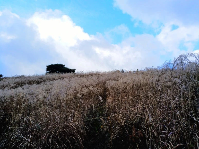 IMG_20171022_120043.jpg?type=w773