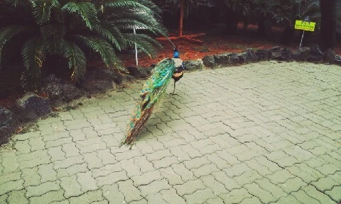 C360_2016-04-07-11-51-58-062.jpg?type=w773