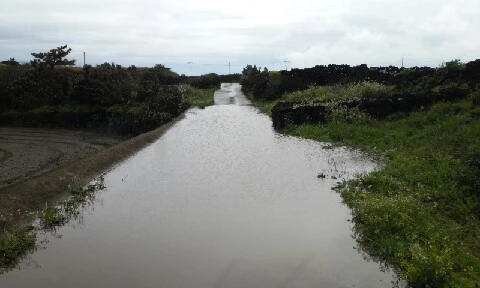 20160413_0936543.jpg?type=w773