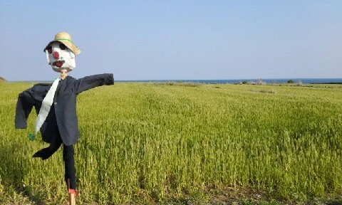 20160419_1654218.jpg?type=w773