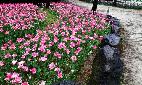 C360_2016-04-07-10-50-41-723.jpg?type=w773