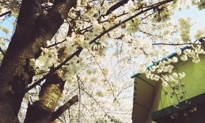 C360_2016-04-05-04-34-11-771.jpg?type=w773