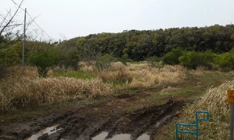 20160420_1428079.jpg?type=w773