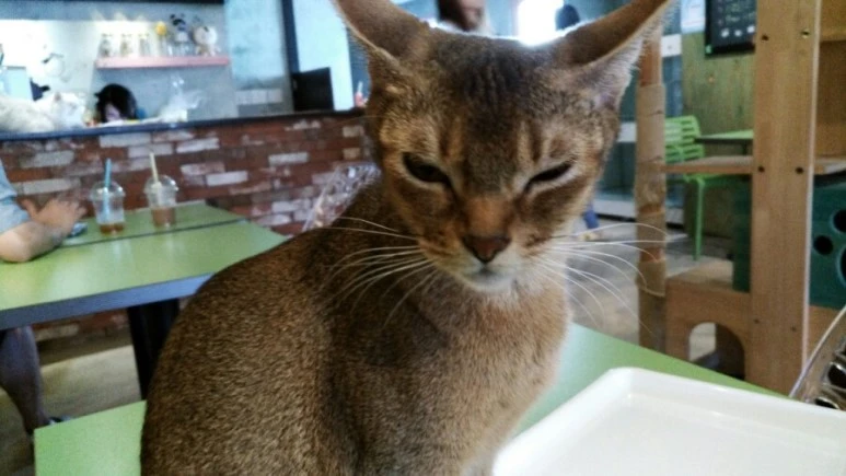 IMG_20170603_181456.jpg?type=w773