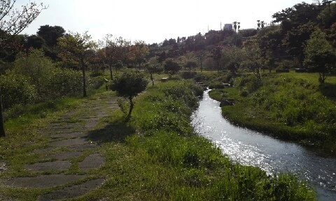 20160418_1639238.jpg?type=w773