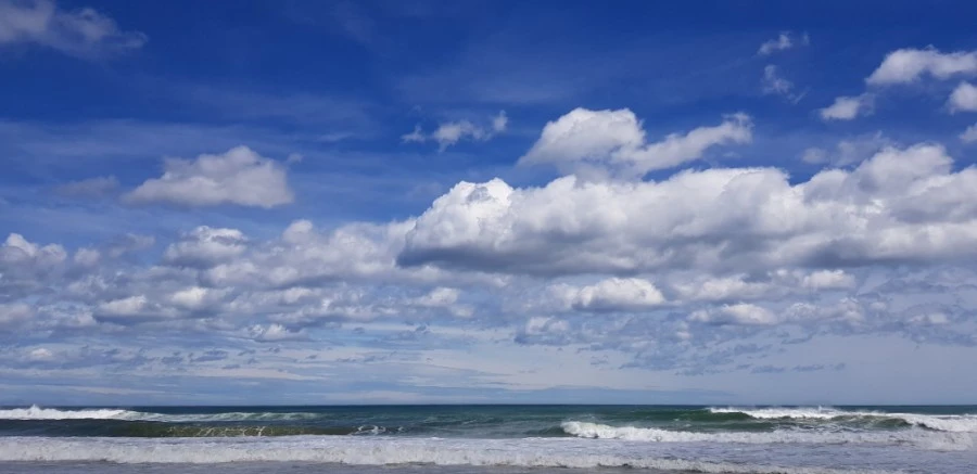 1599230409487.jpg?type=w1