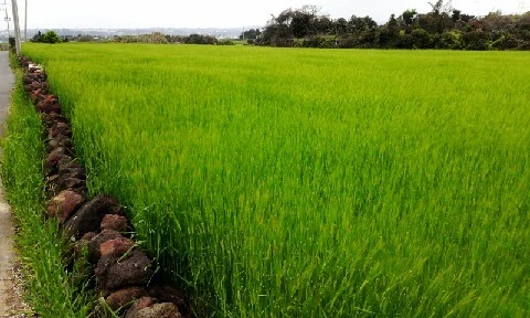 C360_2016-04-11-10-34-10-900.jpg?type=w773