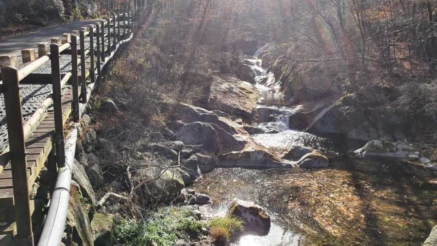 1604840420468%25EF%25BC%258D9.jpg?type=w1