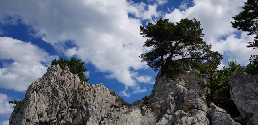 1599230416079.jpg?type=w1