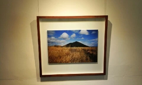 20160414_0945374.jpg?type=w773