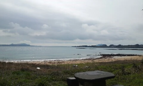 20160413_1015415.jpg?type=w773