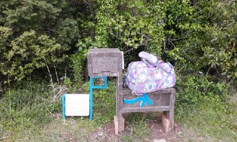 20160420_1153108.jpg?type=w773