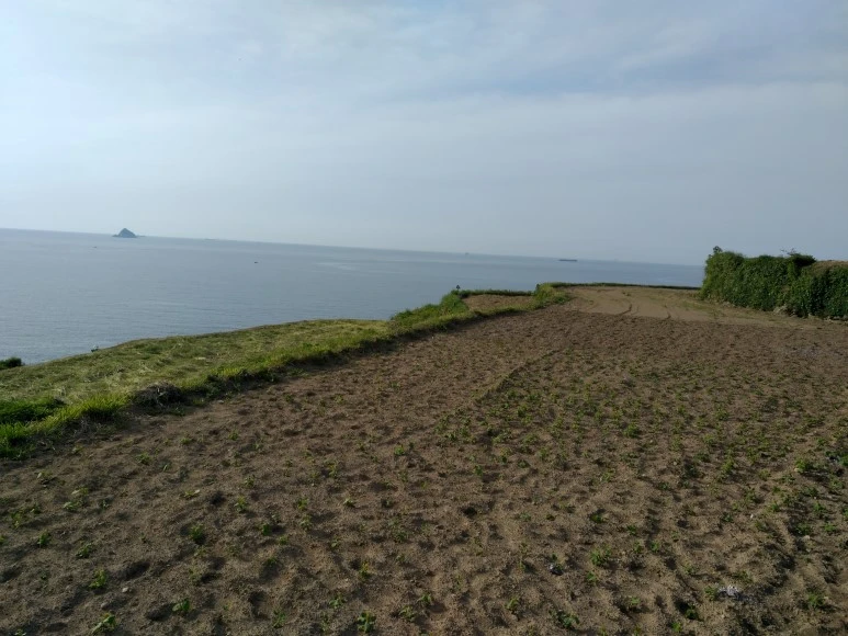 IMG_20180505_074926.jpg?type=w773