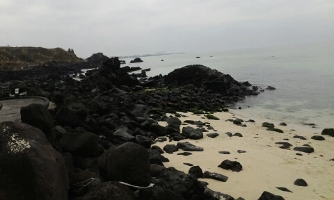 20160406_1423185.jpg?type=w2