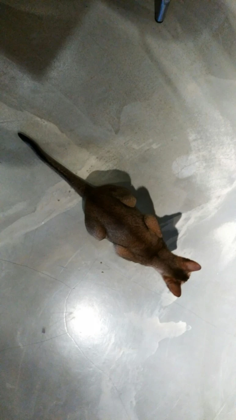 IMG_20170603_184500.jpg?type=w773