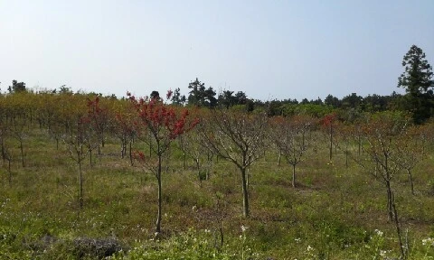 20160419_0942338.jpg?type=w773