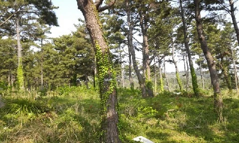 20160419_0955163.jpg?type=w773