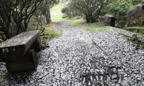 20160406_0824507.jpg?type=w2