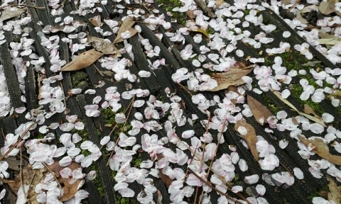 20160406_0824396.jpg?type=w2