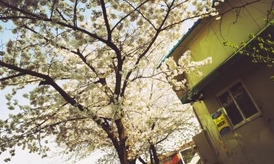 C360_2016-04-05-04-34-46-818.jpg?type=w773